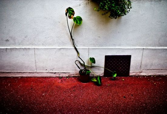 hsbc-laurent-robillard-13-1280x768