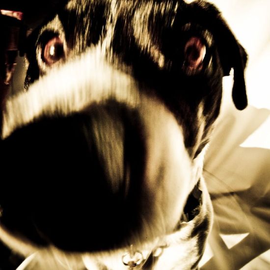 soj-15-sur-17-1280x768