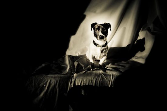 soj-5-sur-17-1280x768