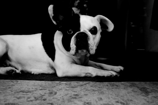 divers (8 of 22) divers (8 of 22)