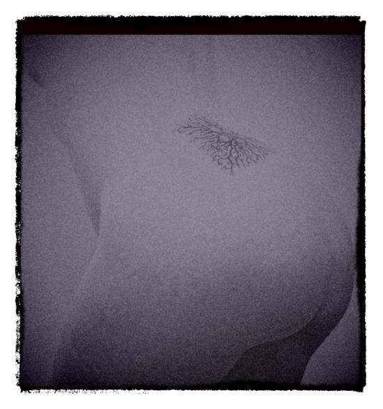 P1050475_NB1-1_Snapseed